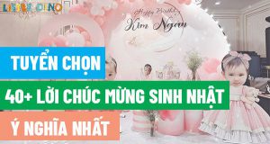 Sinh nhật luôn là sự kiện quan trọng với mỗi người, nếu bạn đang tìm kiếm lời chúc mừng sinh nhật ý nghĩa, độc đáo thì hãy cùng Little Dino tham khảo bài...