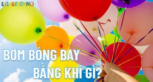 Nếu bạn đang băn khoăn thắc mắc Bơm bóng bay bằng khí gì thì hãy cùng Little Dino tham khảo bài viết giải đáp ngay nhé...